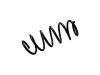 Coil spring:31255517