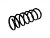 Coil spring:31304176