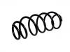 Coil spring:30748154