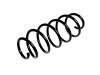 Coil spring:30748153