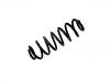 Coil spring:3C0 511 115 BL