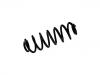 Coil spring:3C0 511 115 BH