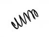 Coil spring:31290323