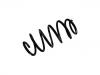 Coil spring:31290325