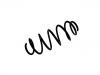 Coil spring:31262307