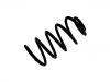 Coil spring:424 117