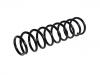 Coil spring:4140A244