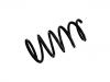 Coil spring:48131-B4010