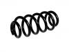 Coil spring:1K0 511 115 GG