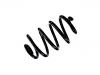 Coil spring:55020-3NA0C