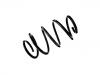 Coil spring:54010-3NA0B