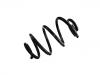 Coil spring:54010-1FE0A