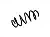 Coil spring:3C0 411 105 AG