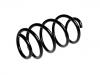 Coil spring:3C0 411 105 M