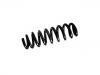 Coil spring:33 53 67 68 254