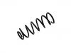 Coil spring:55330-1Y600