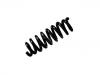 Coil spring:33 53 2 283 961