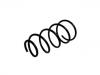 Coil spring:K04656526AC