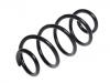 Coil spring:41311-70L00