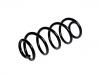 Coil spring:41311-71L60