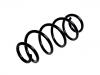 Coil spring:41311-68L00