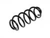 Coil spring:41311-57KA0