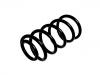 Coil spring:55330-2B211