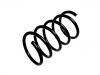 Coil spring:54630-2B410