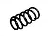 Coil spring:55330-2B860