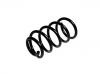 Coil spring:55330-2B810