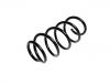 Coil spring:54630-2B900