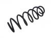 Coil spring:4140A313