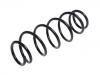 Coil spring:4040A260