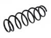 Coil spring:4040A411