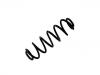 Coil spring:5N0 511 115 G