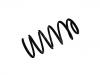 Coil spring:1J0 411 105 CE