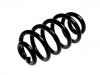 Coil spring:4F0 511 115 CG