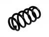 Coil spring:4F0 411 105 CT