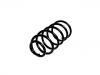 Coil spring:1J0 411 105 AJ