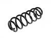 Coil spring:1K0 511 115 BT