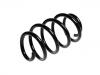 Coil spring:1K0 411 105 FD