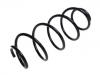 Coil spring:9801945480