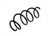 Coil spring:9802241280