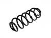 Coil spring:9676886380