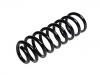 Coil spring:5102.F1