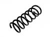 Coil spring:31202533