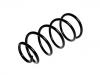 Coil spring:30666207