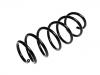 Coil spring:31255514