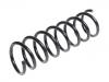 Coil spring:1385368