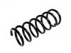 Coil spring:31304054